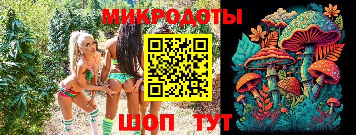 Псилоцибиновые грибы Psilocybe  Вход с VPN  что такое   Кувандык  Псилоцибиновые грибы GOLDEN TEACHER 
